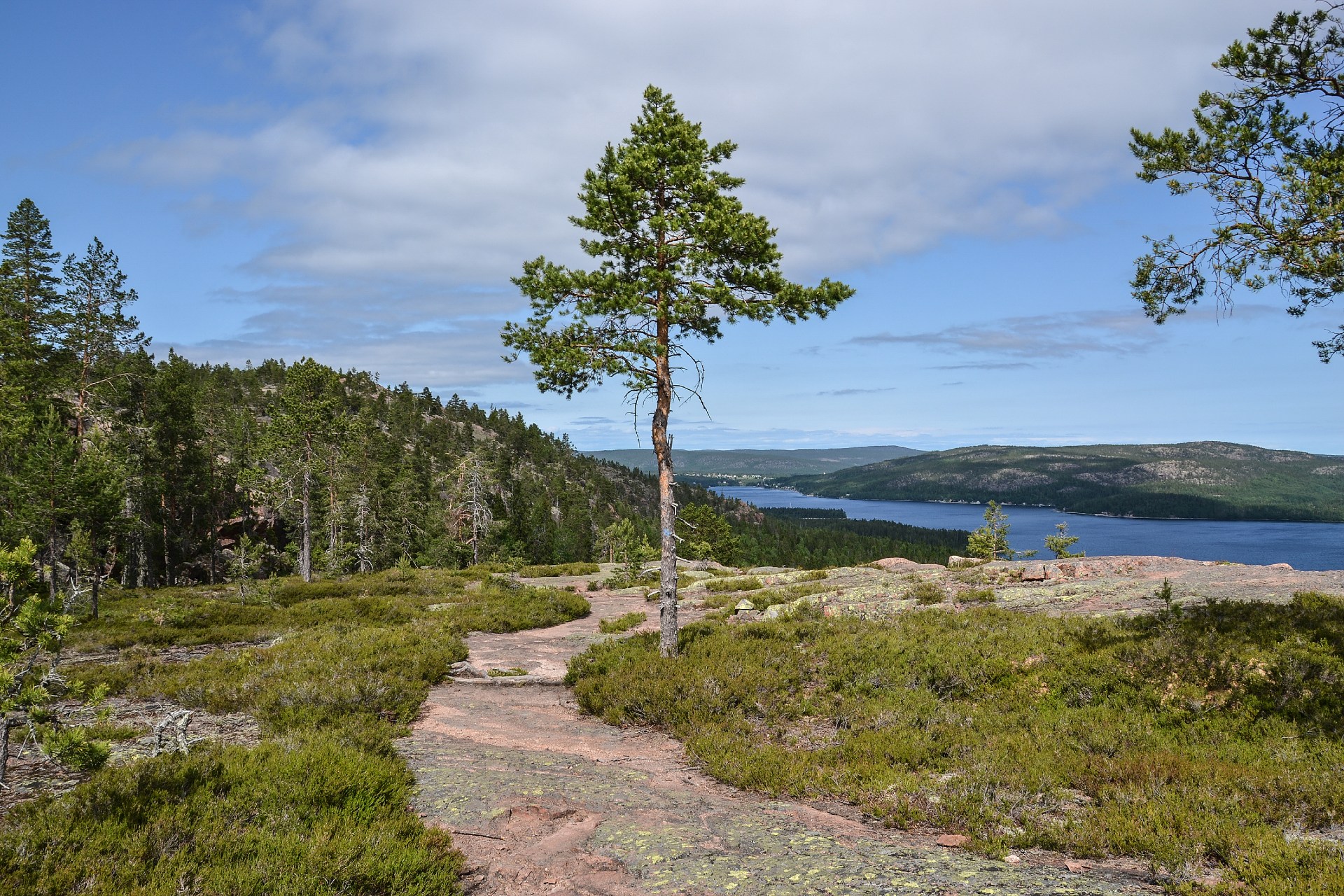 Matverkstan i Härnösand - Ett perfekt stopp i Höga Kusten